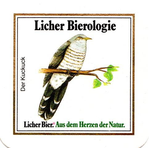 lich gi-he licher biero vgel eck 4b (quad185-das rotkehlchen)